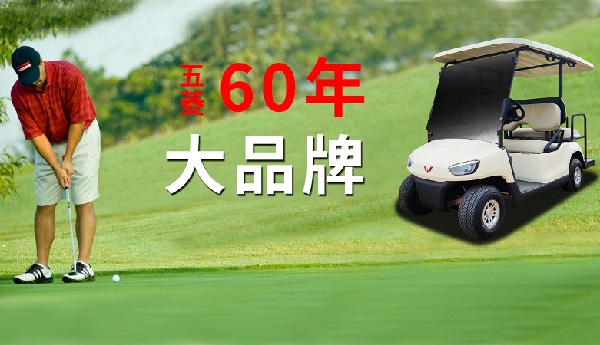 高尔夫球车观光车